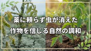 自然栽培の奇跡!土と作物を信じる人間の心