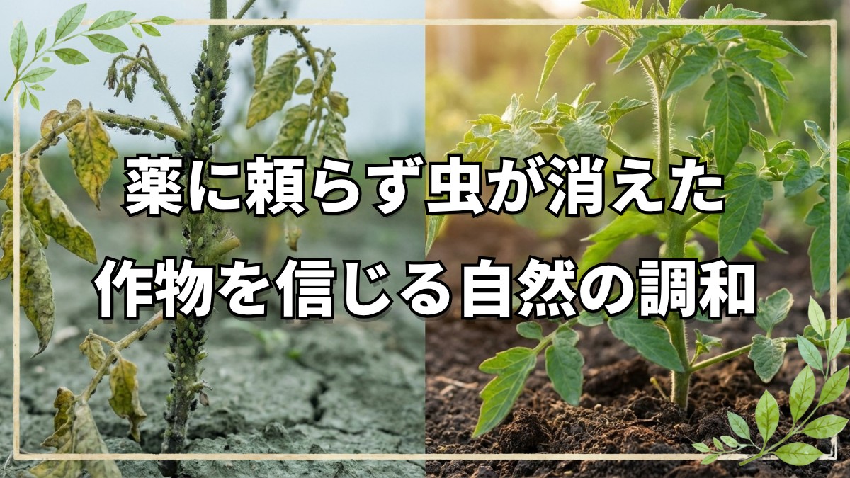 自然栽培の奇跡！土と作物を信じる人間の心