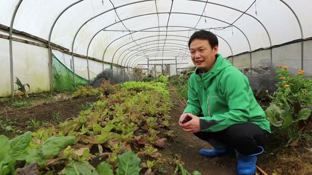 1. 自然栽培の野菜、価格はどう決める?
