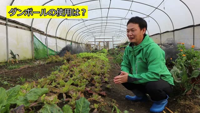 4. 堆肥作りに悩んだら「無農薬のウッドチップ」がおすすめ