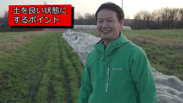 3. 土を良い状態に整える工夫と、時間を味方につける姿勢