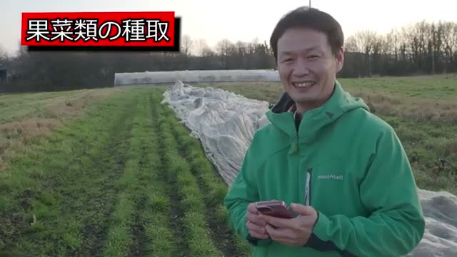1. 果菜類・マメ類の自家採種:完熟のその先まで待つのがコツ