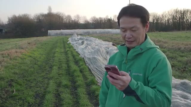 2. 苗の植え付けに適した「フカフカな土」の見極め方