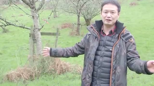 家畜と生き物の力を借りる「循環型」の園地管理