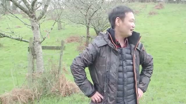 20年間、肥料も農薬も使われない環境が育むたくましさ