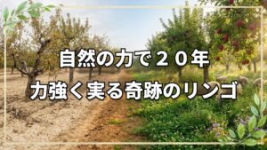無肥料無農薬で20年！持続可能なリンゴ園