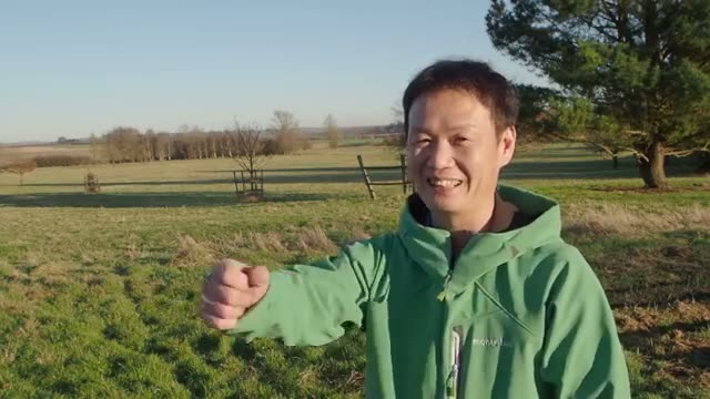 1. 枯れかけた野菜を劇的に復活させる「直の雨」の力