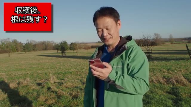 収穫後の野菜の根は残すべきか