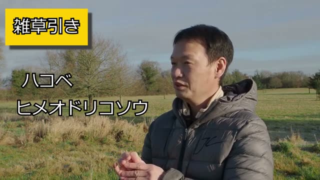 3. 雑草管理の基準:どの草を、いつ抜くべきか?