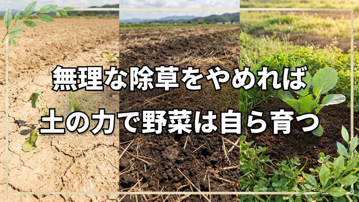 自然栽培の野焼き・酸度調整・雑草管理