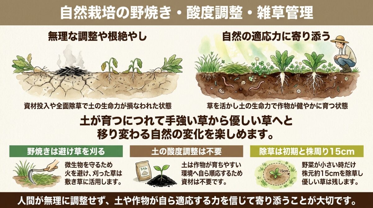 自然栽培の野焼き・酸度調整・雑草管理