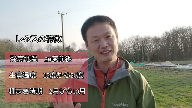 種まき時期の目安と冬越し品種の選択