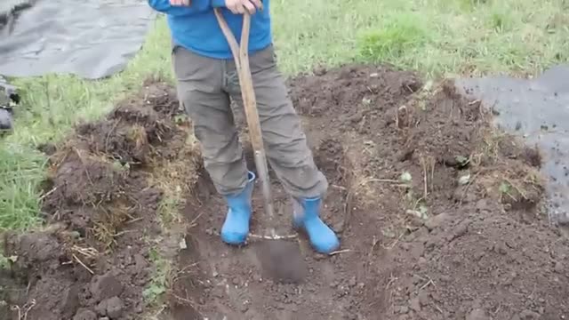 2. 木枠を使った畑づくりの実践ステップ