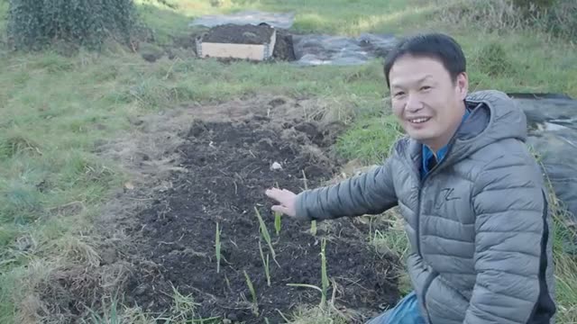 1年が経過した土壌の変化と落ち葉の様子