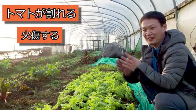 根本的な解決策は「自家採種」を続けること