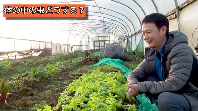 自然農の野菜を食べると「体の中に虫が入る」って本当?