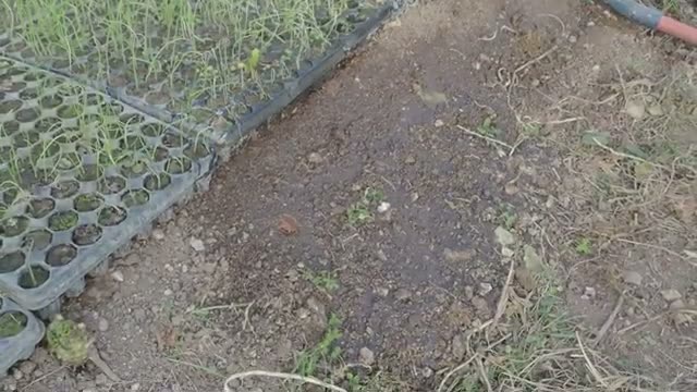 土からのSOSサイン「水を弾く」