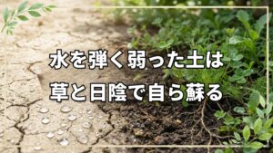 水を弾く弱った土を再生する方法
