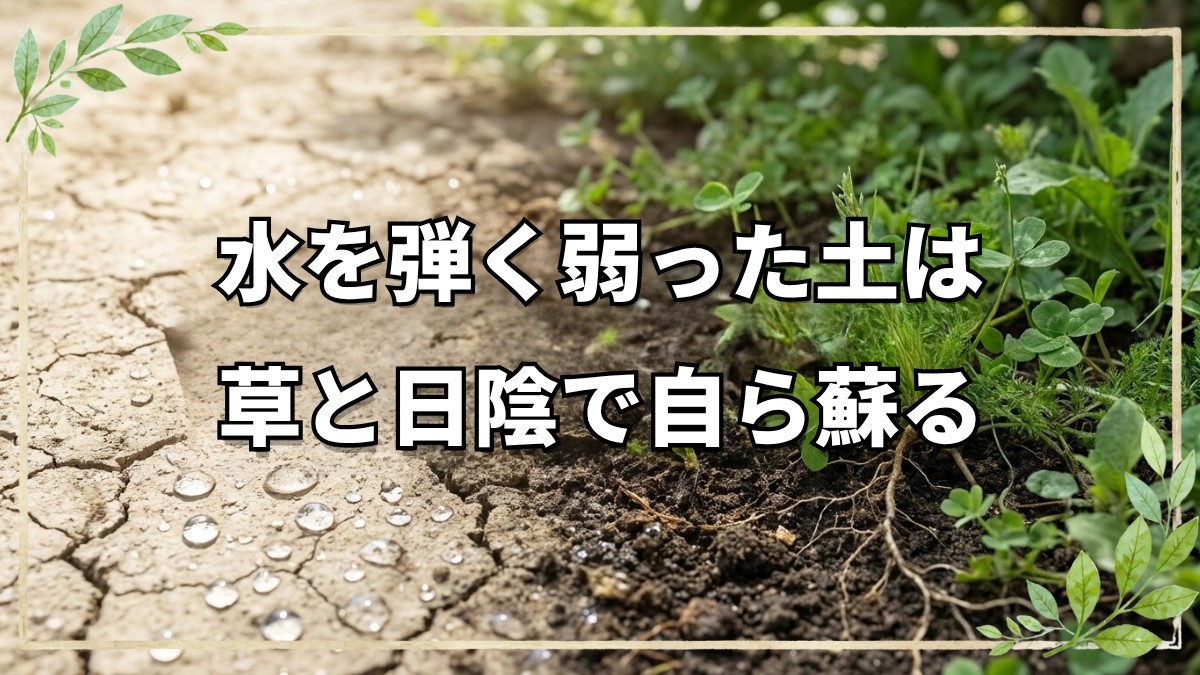 水を弾く弱った土を再生する方法