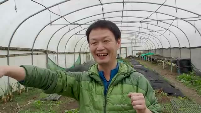 常識を覆した菜種栽培と「ヴィーガン農法」との出会い