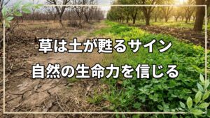 有機農家が自然栽培へ全転換した理由