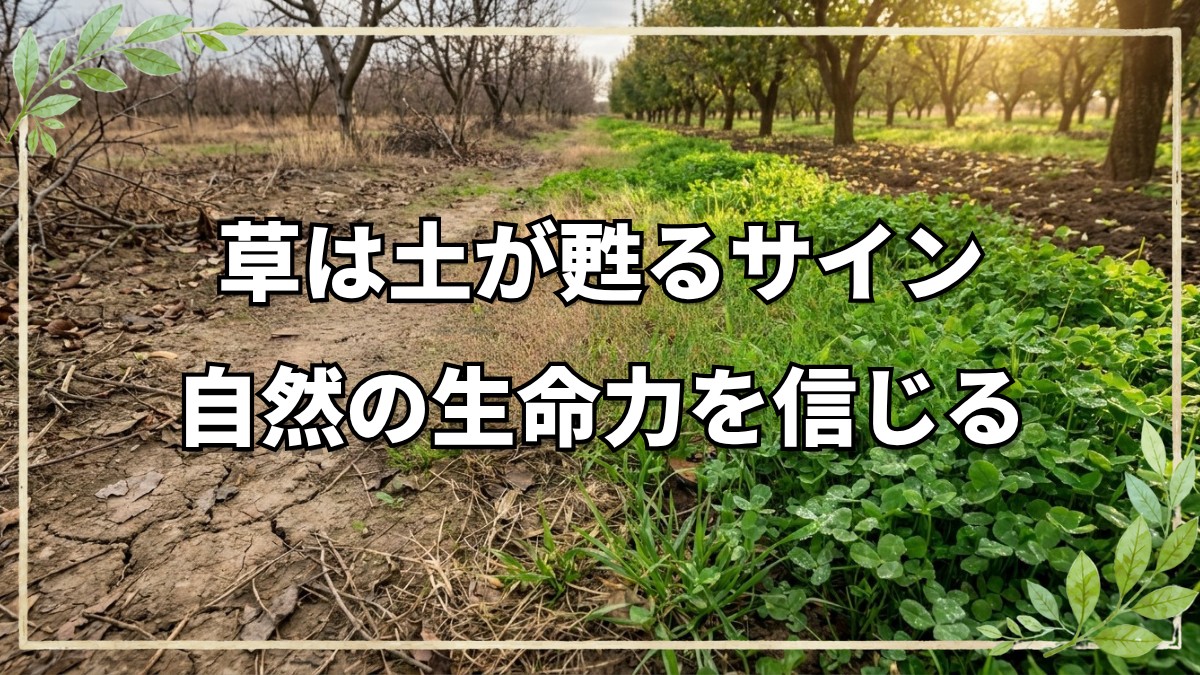 有機農家が自然栽培へ全転換した理由