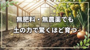 無肥料・無農薬で育つ野菜たち｜イギリスのハウスに見る土の力と自然栽培の実際
