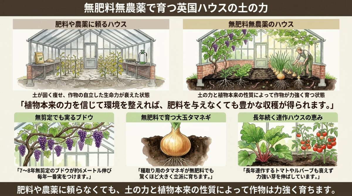 無肥料・無農薬で育つ野菜たち|イギリスのハウスに見る土の力と自然栽培の実際
