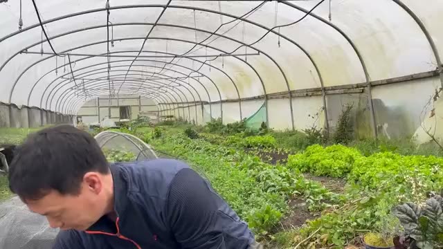 根の状態に応じた移植後の活着管理