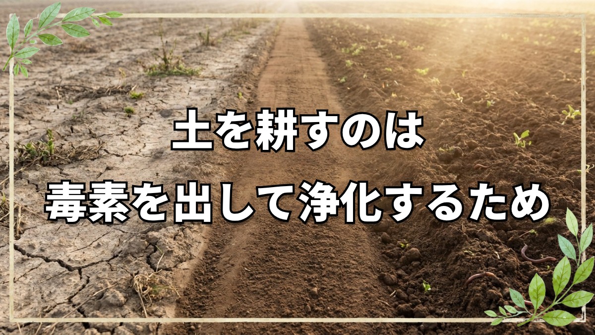 土と体は同じ？土を起こす真の理由