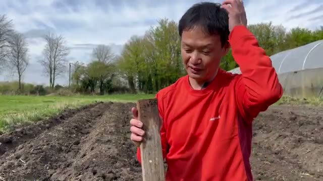 2. カボチャの種まき実践:株間と蒔き方の工夫