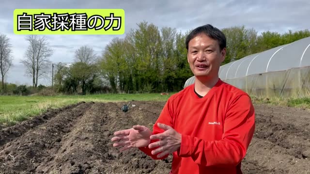 1. 自家採種27年のカボチャ:種が持つ本来の生命力