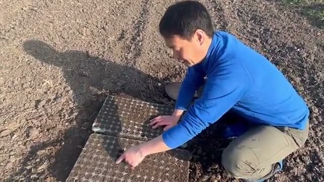 畑の土だけで作るポット苗の手順