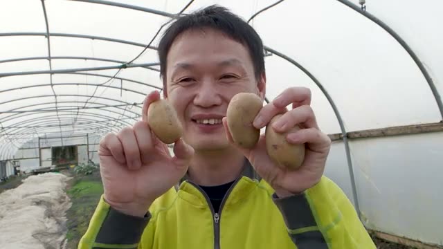 唯一行う「芽出し」の工程