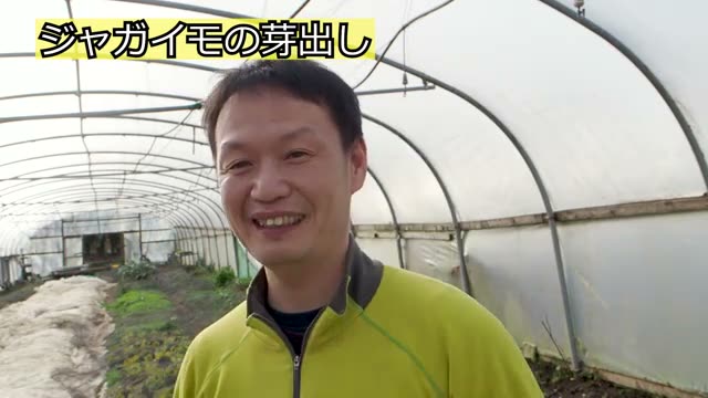 植え付けの深さと間隔の決め方
