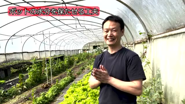 育苗ポットの乾燥と日差しへの対策