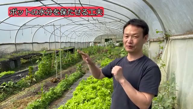 ハウスがなくても外で育苗できる工夫