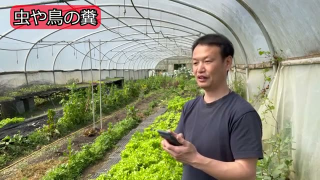 自然界の虫や鳥のフンへの向き合い方