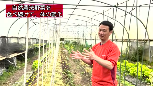市販の食事をとったときに現れた体の反応