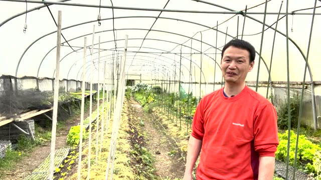 500人以上が検証した「野菜のエナジーテスト」
