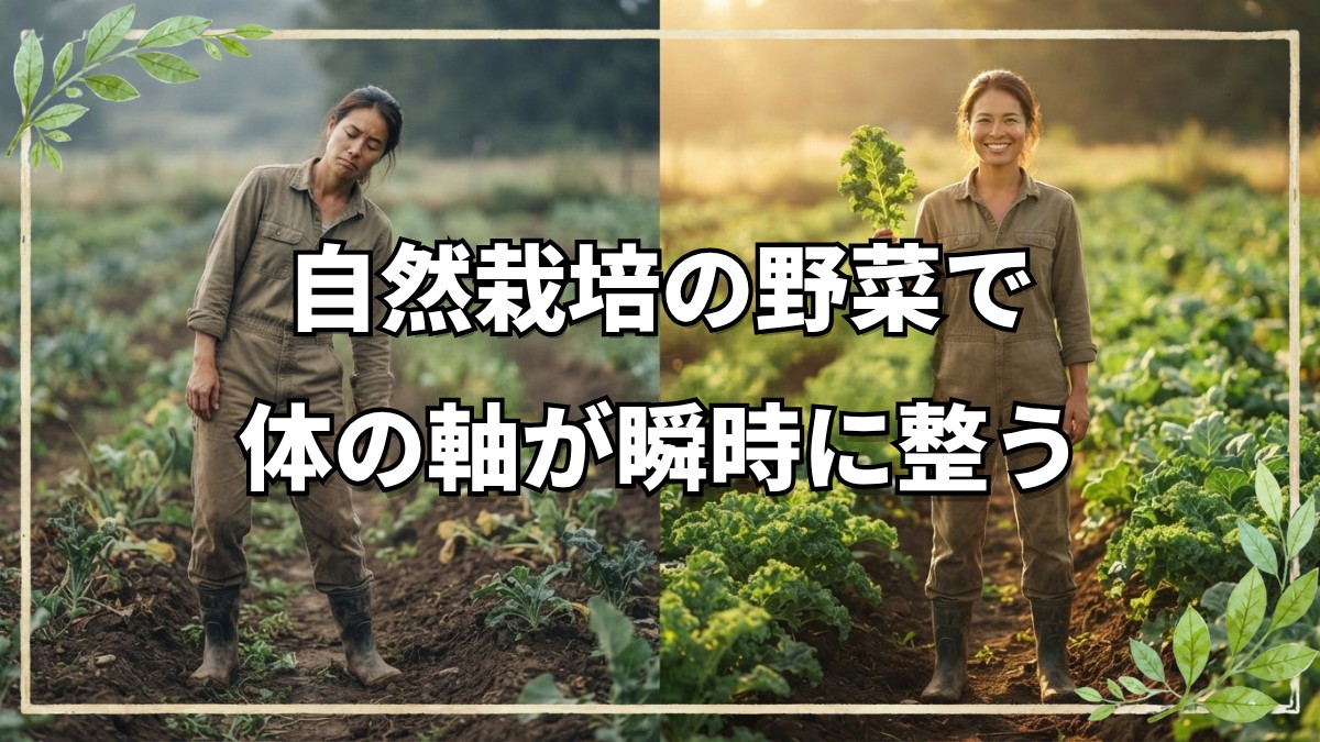 自然農法の野菜を食べ続けると体はどう変わるのか？500人以上が驚いたエナジーテストの結果