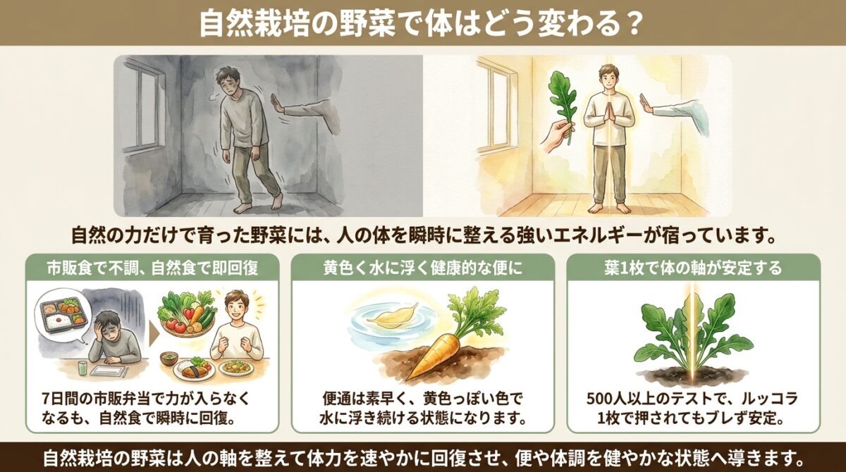 自然農法の野菜を食べ続けると体はどう変わるのか?500人以上が驚いたエナジーテストの結果