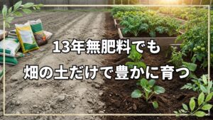 【自然栽培】13年間無肥料・無農薬の畑はどうなっている？4月下旬の育ちと育苗の様子