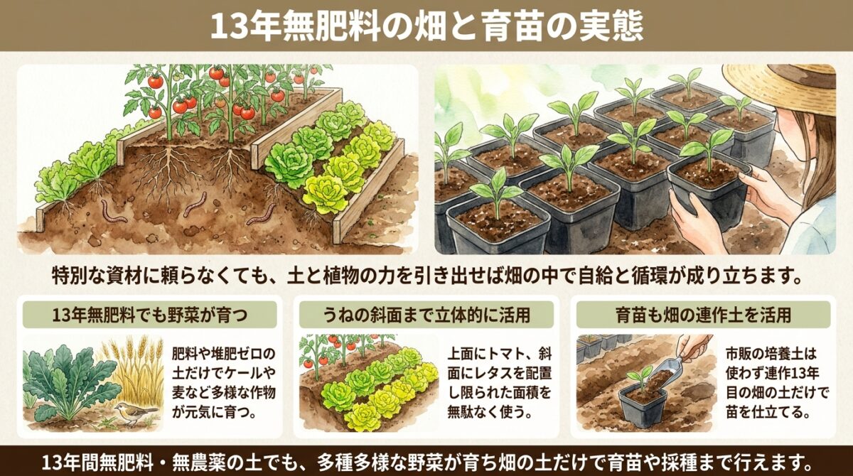 【自然栽培】13年間無肥料・無農薬の畑はどうなっている?4月下旬の育ちと育苗の様子