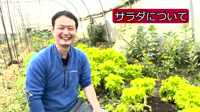 畑の疑問:出荷する野菜は洗う?洗わない?
