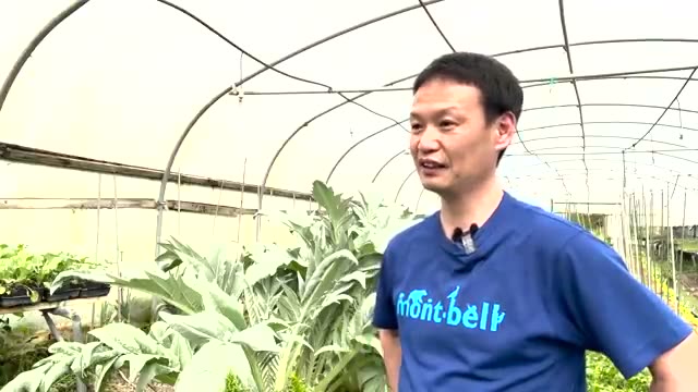 畑は「自分の心の鏡」