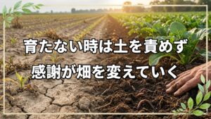 自然栽培で育たない時の心の持ち方