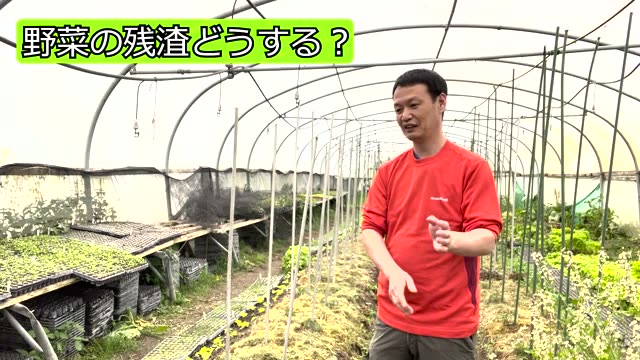 1. 野菜の残渣は土に戻すべき?作業効率と自然の力