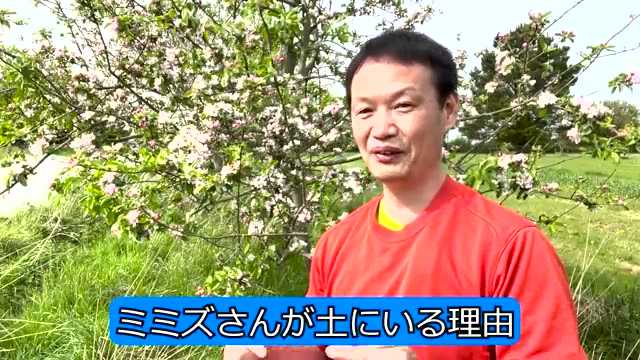 1. 自然栽培でミミズが減っていく理由