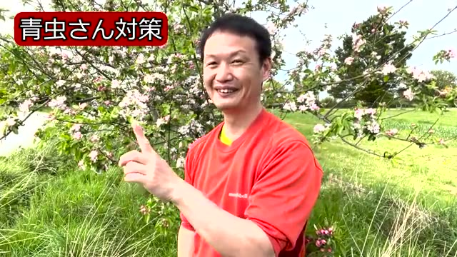 3. 青虫対策と野菜本来のたくましい生命力